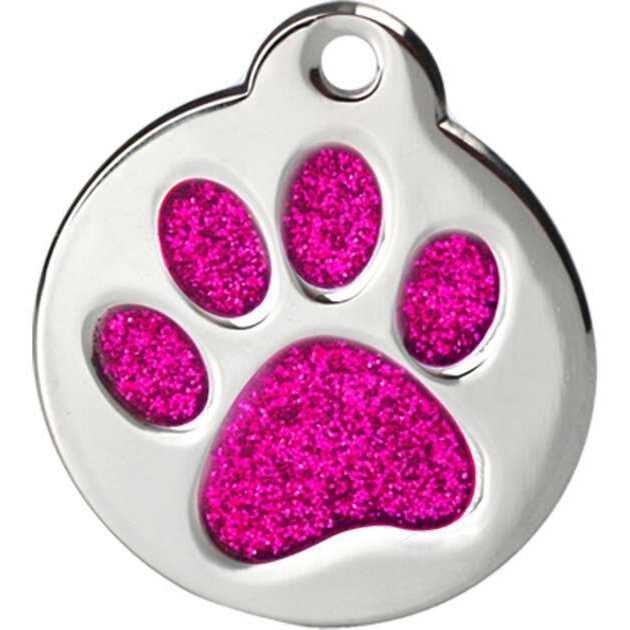 Stainless Steel Personalized Dog & Cat ID Tag Z3970