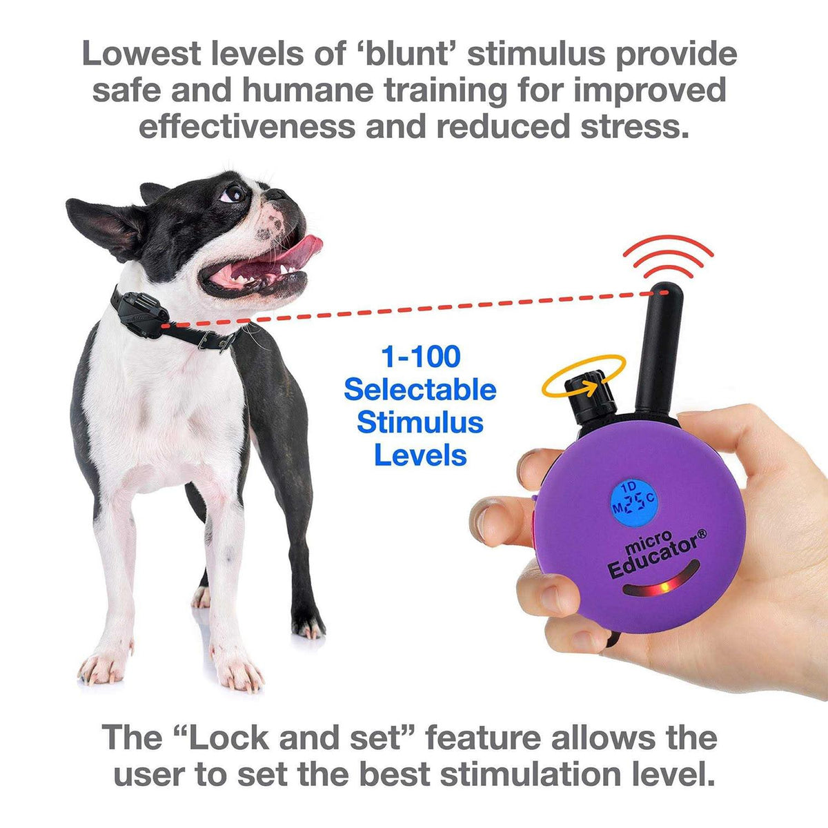 Remote Dog Training Collar V440