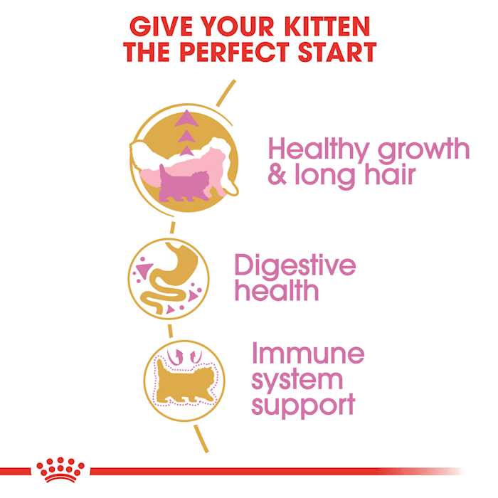 Persian Kitten Dry Cat Food X423