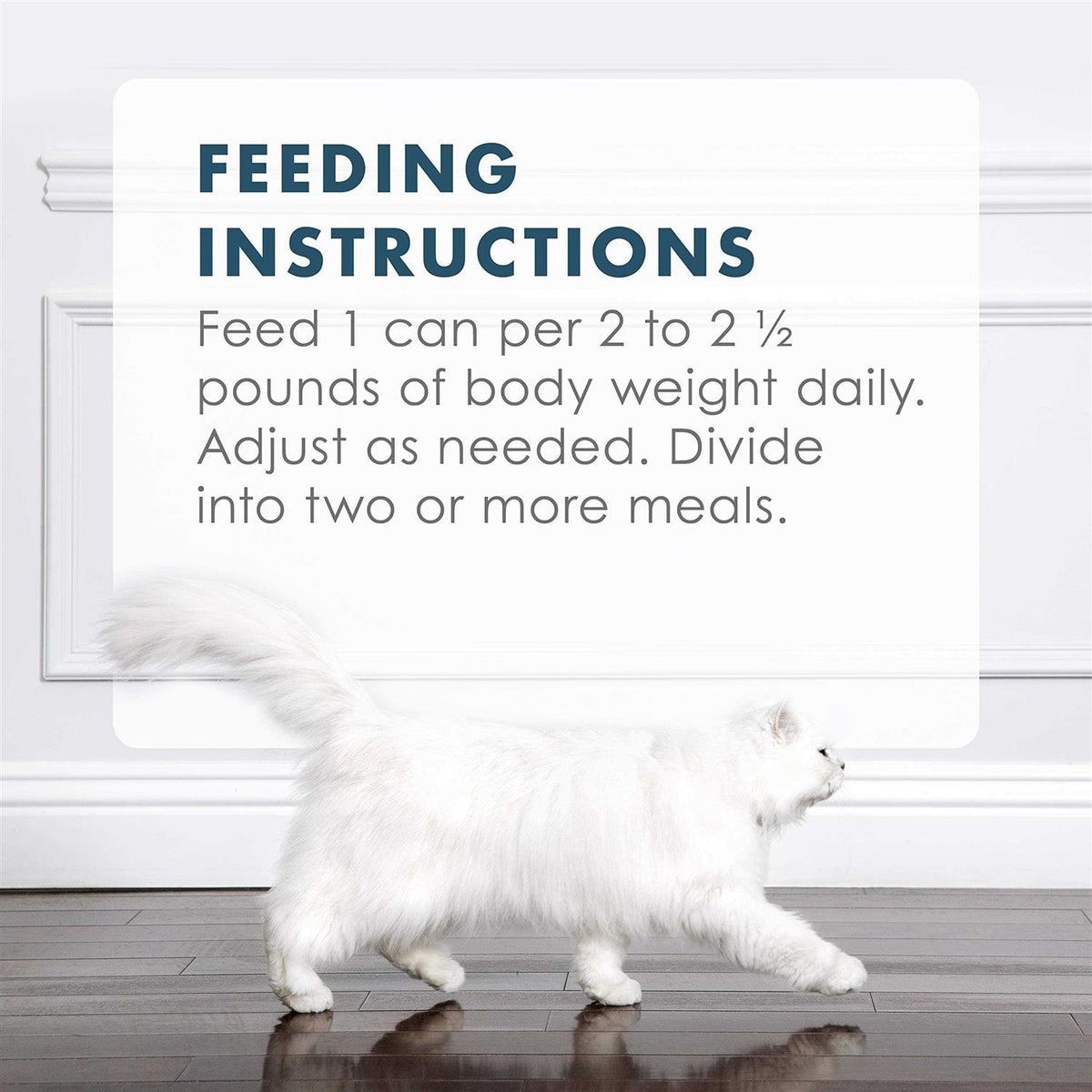 Tuna Recipe in Gravy Wet Cat Food Z8671