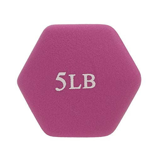 Neoprene Coated Hex Dumbbell Sold in Pairs M739598