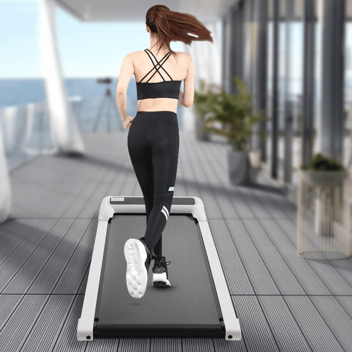 2 in 1 Treadmill R132
