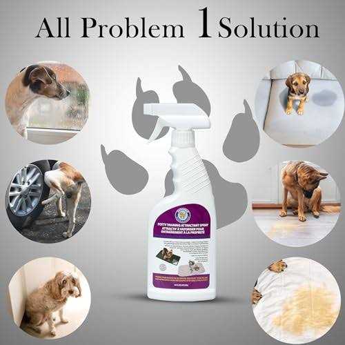 Potty Training Attractant P361
