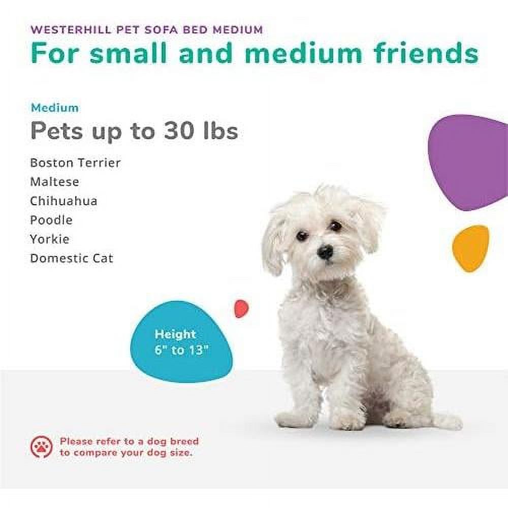 Charcoal Medium Pet Sofa Bed S186