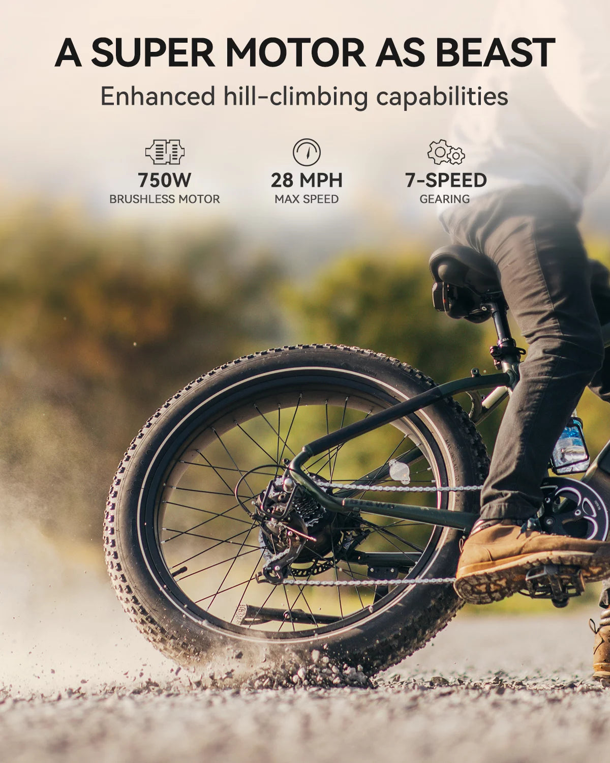 750W Fat Tire Electric Bike with 48V 18Ah Removable Battery L3161
