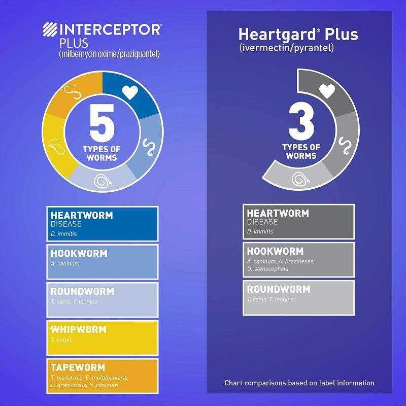 Interceptor Plus for Dogs C229