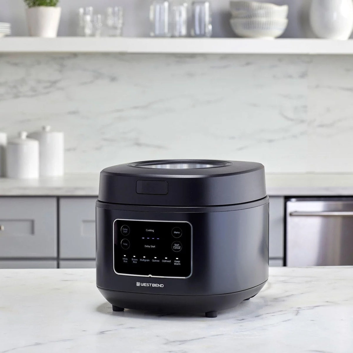 12-Cup Multi-Function Rice Cooker V419