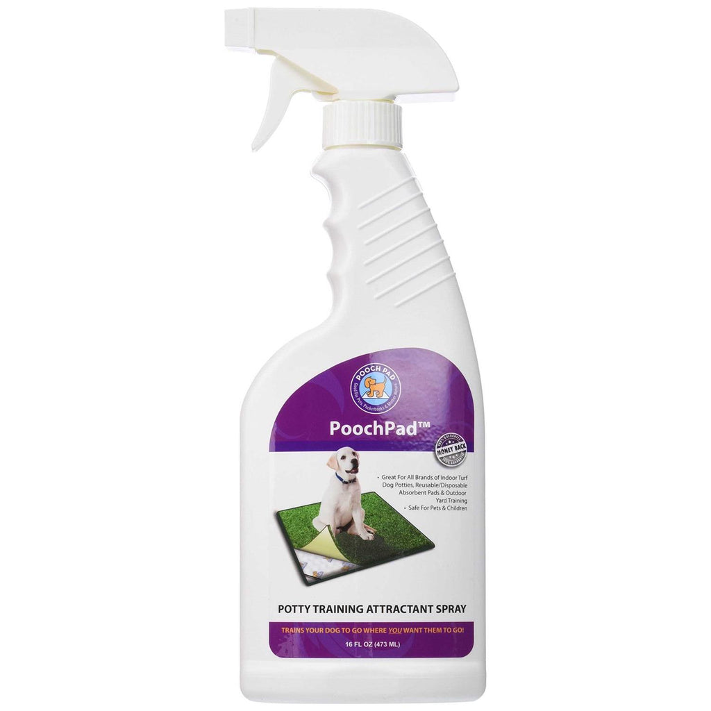 Potty Training Attractant P361