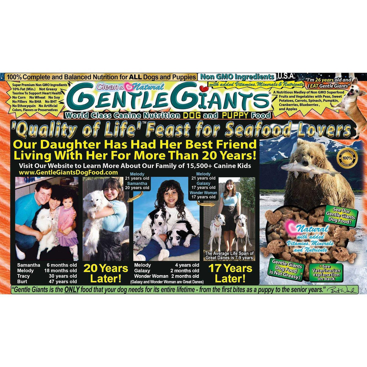 Grain Free Salmon Dog Food V981
