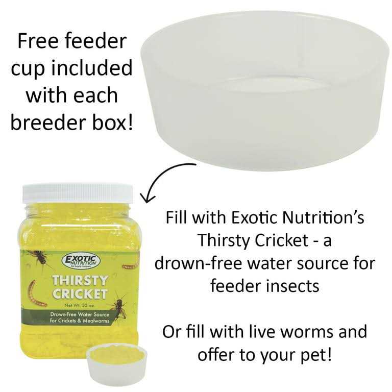 Mealworm Breeder Kit K210134