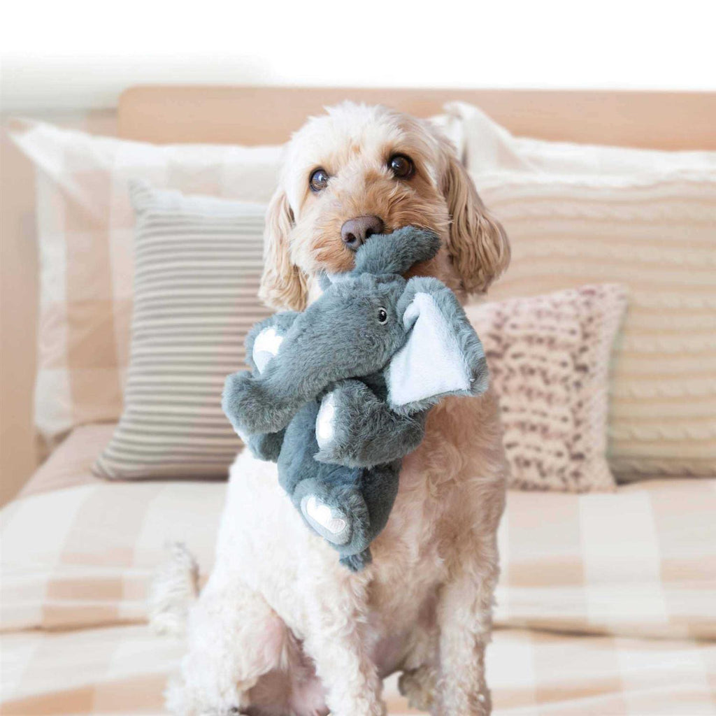 Bear Dog Toy I13423