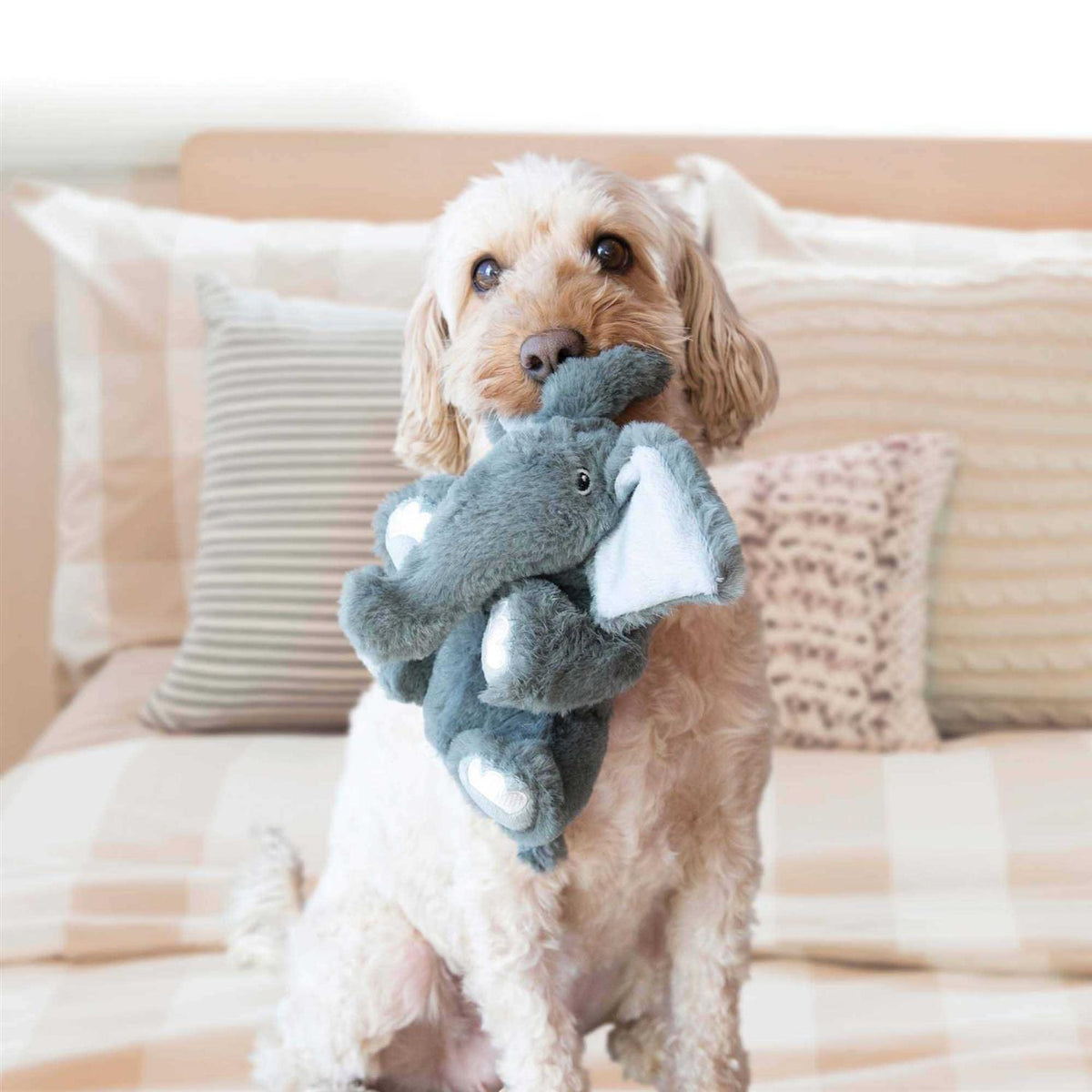 Bear Dog Toy I13423
