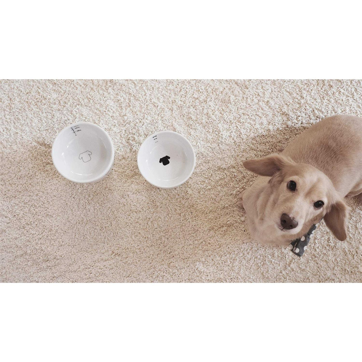 Raised Dog Food Bowl S501574