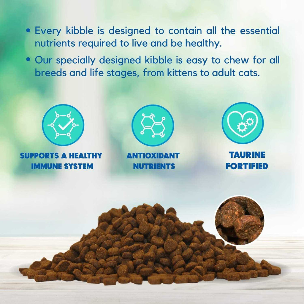 Dry Cat Food Salmon H873082