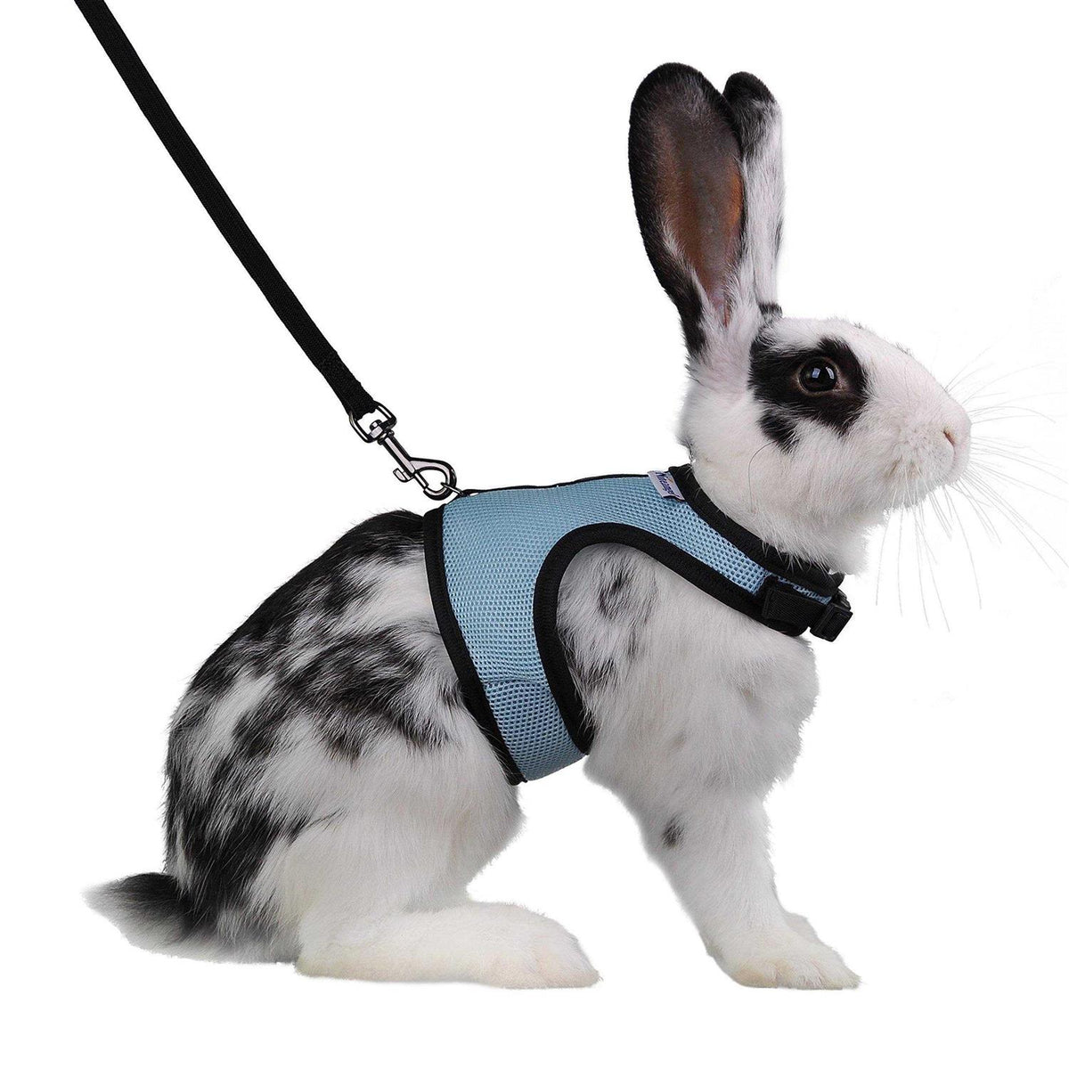 Adjustable Soft Harness with Elastic Leash for Rabbits O742