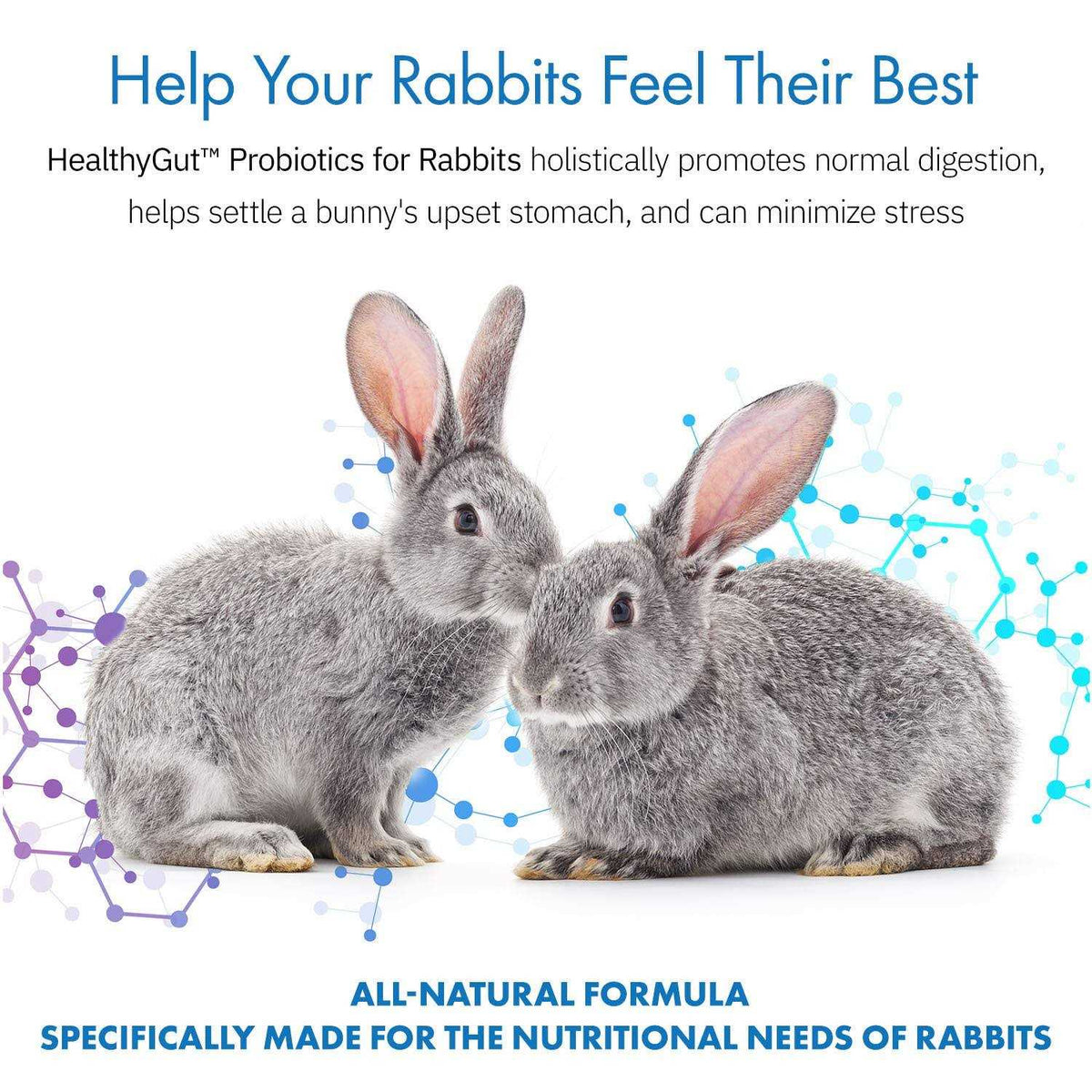 Probiotics Rabbit Supplement U83117
