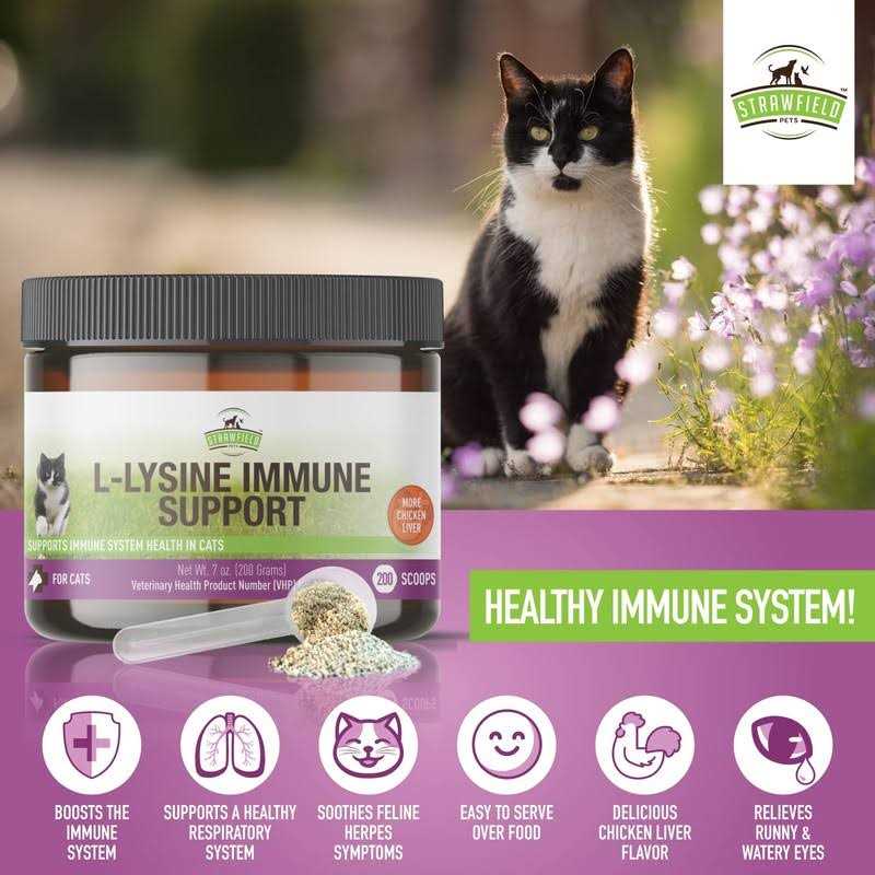 L-Lysine for Cats Supplement Powder Granules X46520