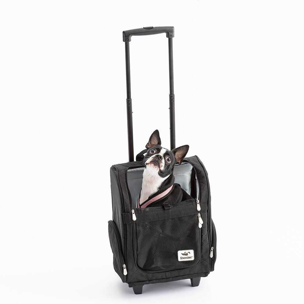 Travel Pet Carrier S8644