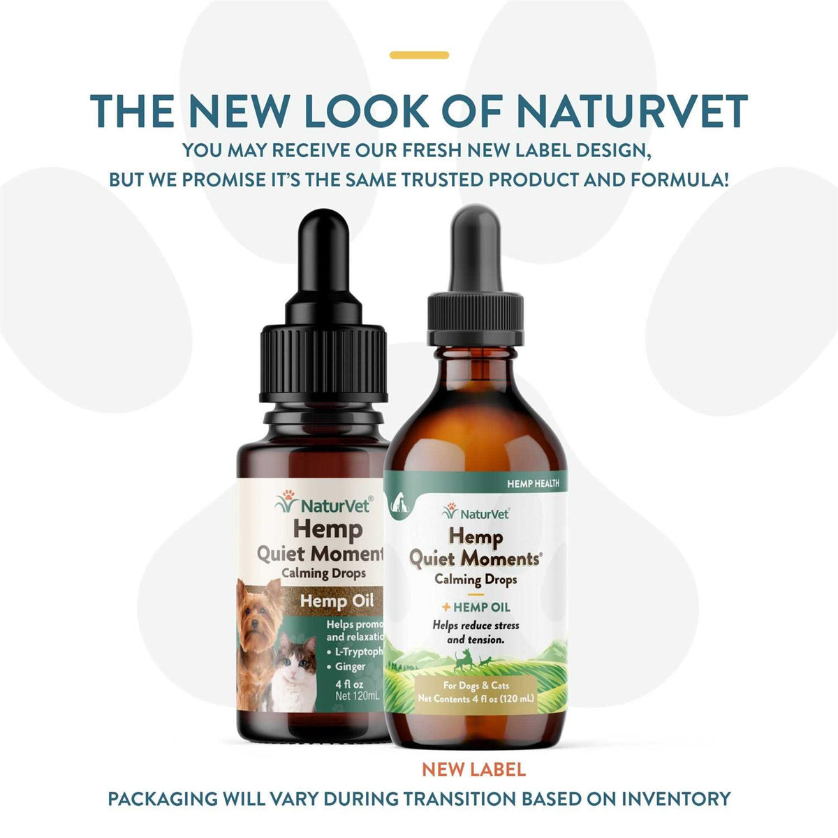 Calming Drops Hemp Oil for Dogs & Cats M9855