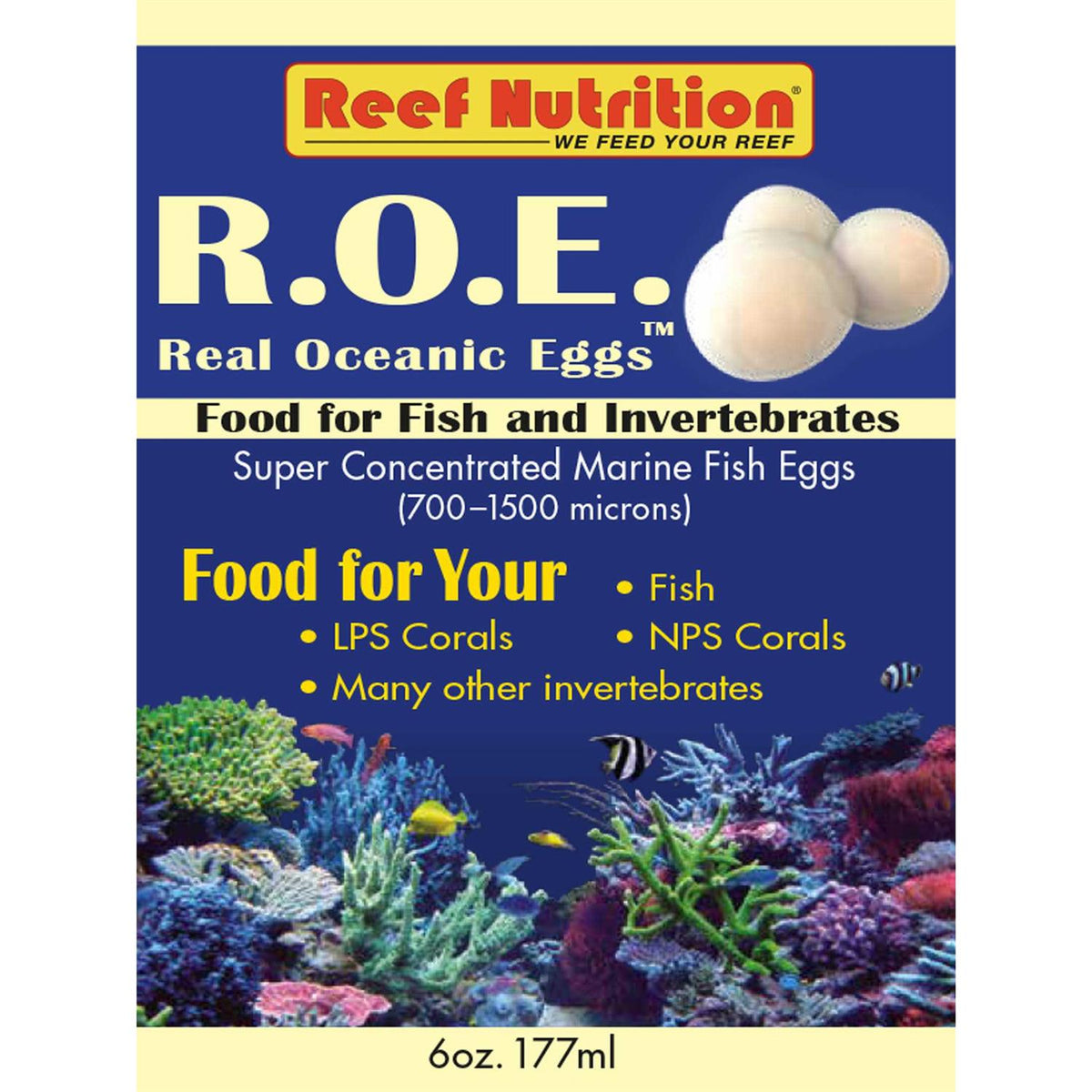 Real Oceanic Eggs X983535