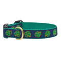 Shamrock Dog Collar A29118