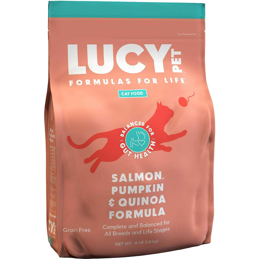 Dry Cat Food Salmon H873082