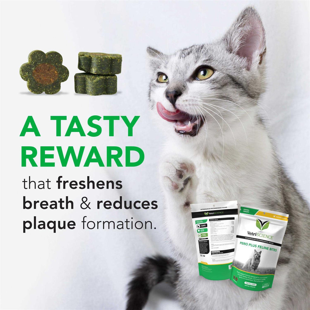 Feline Bites G6278