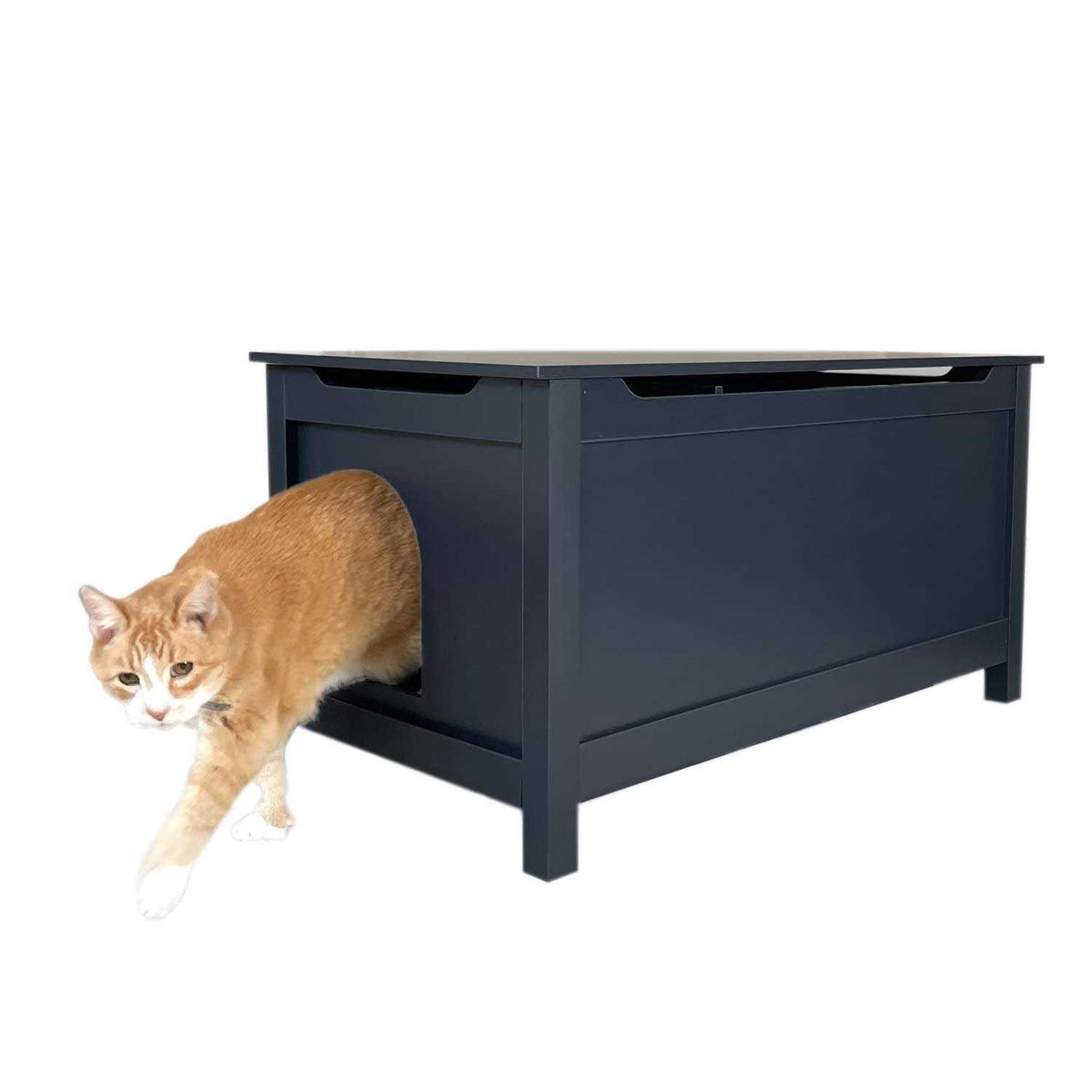 Catbox Litter Box Enclosure I125