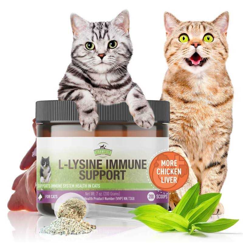 L-Lysine for Cats Supplement Powder Granules X46520