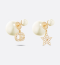 Earrings V627410