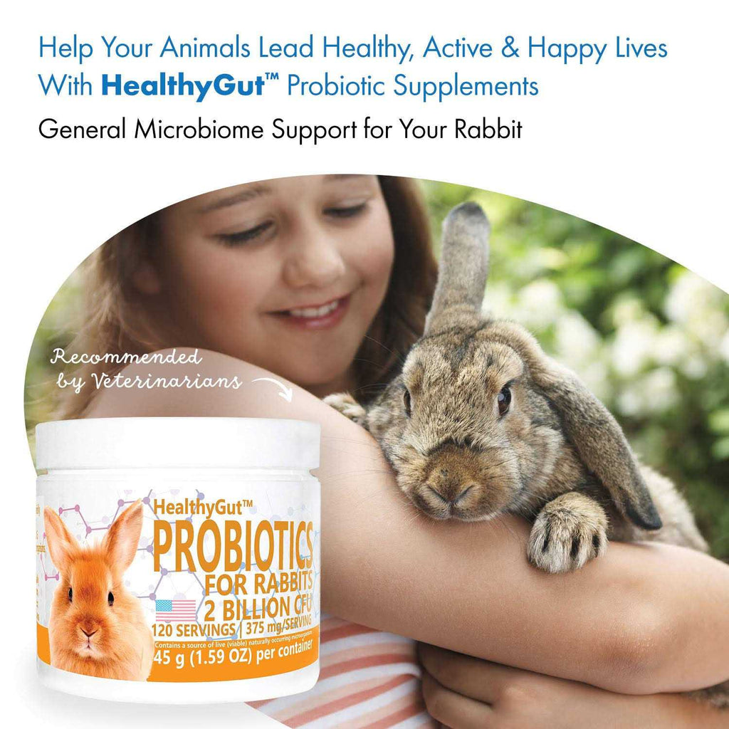 Probiotics Rabbit Supplement U83117