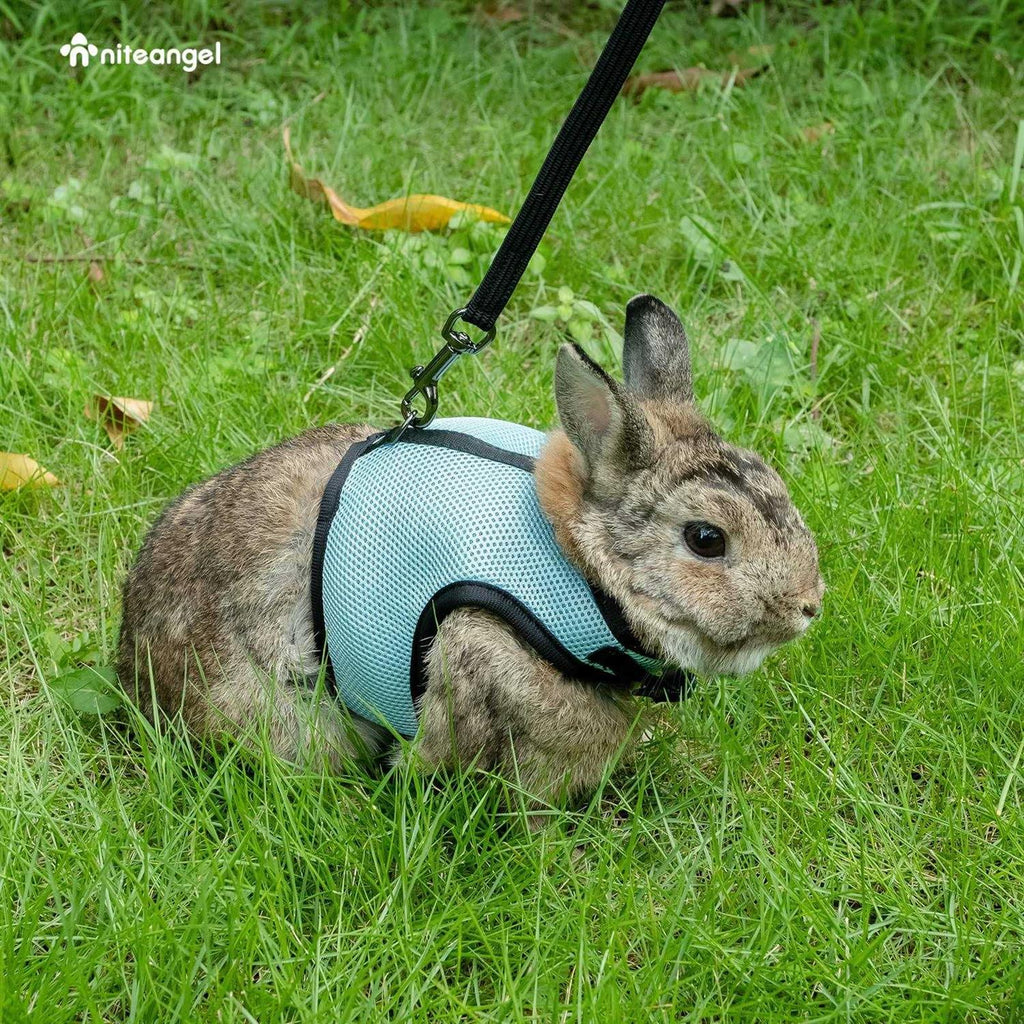 Adjustable Soft Harness with Elastic Leash for Rabbits O742