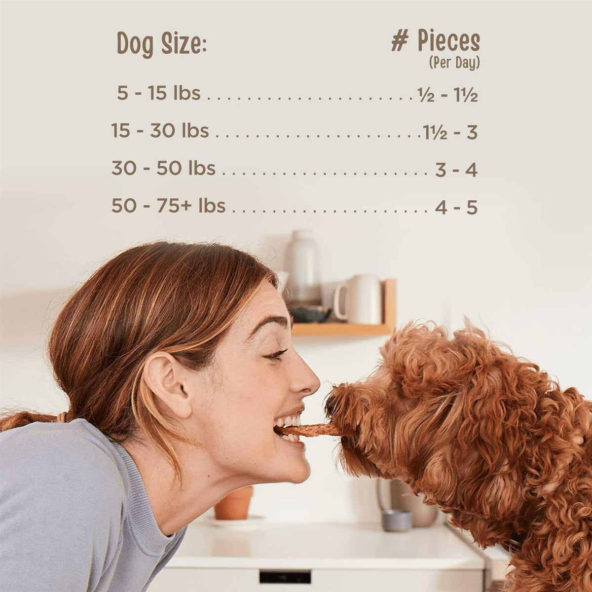 Beef Recipe Dog Treats R91793