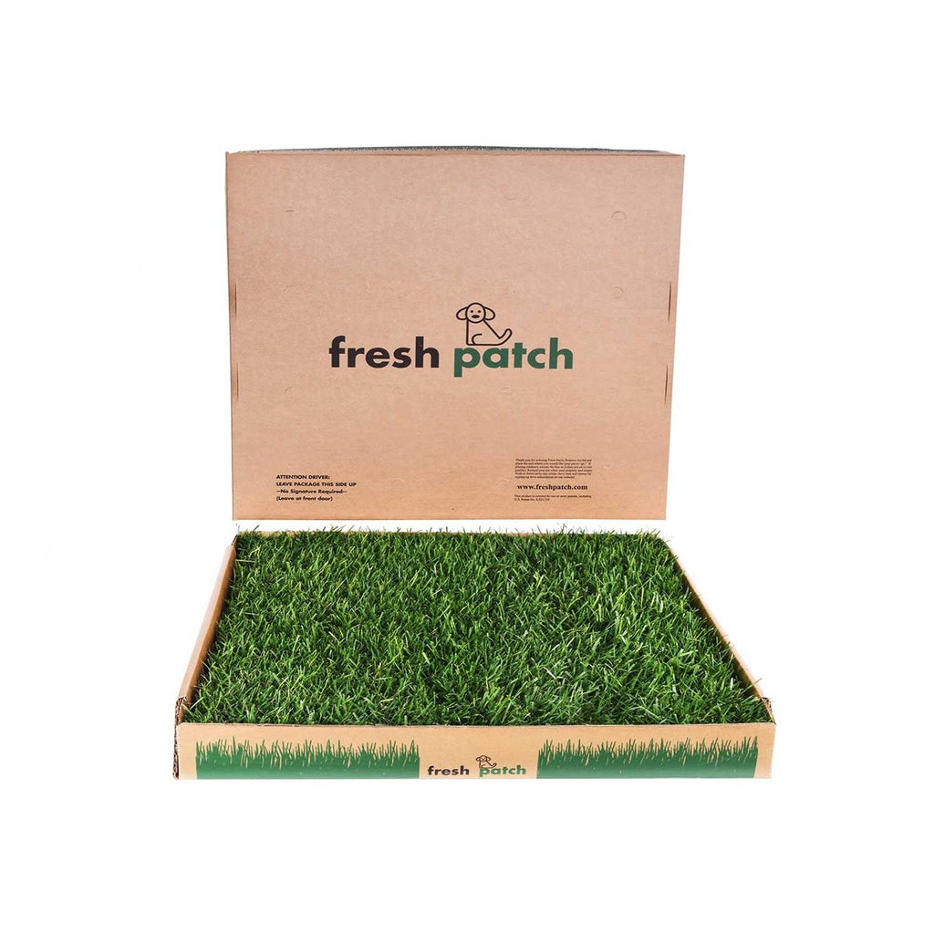 Large Real Grass Pee and Potty Training Pad U944643