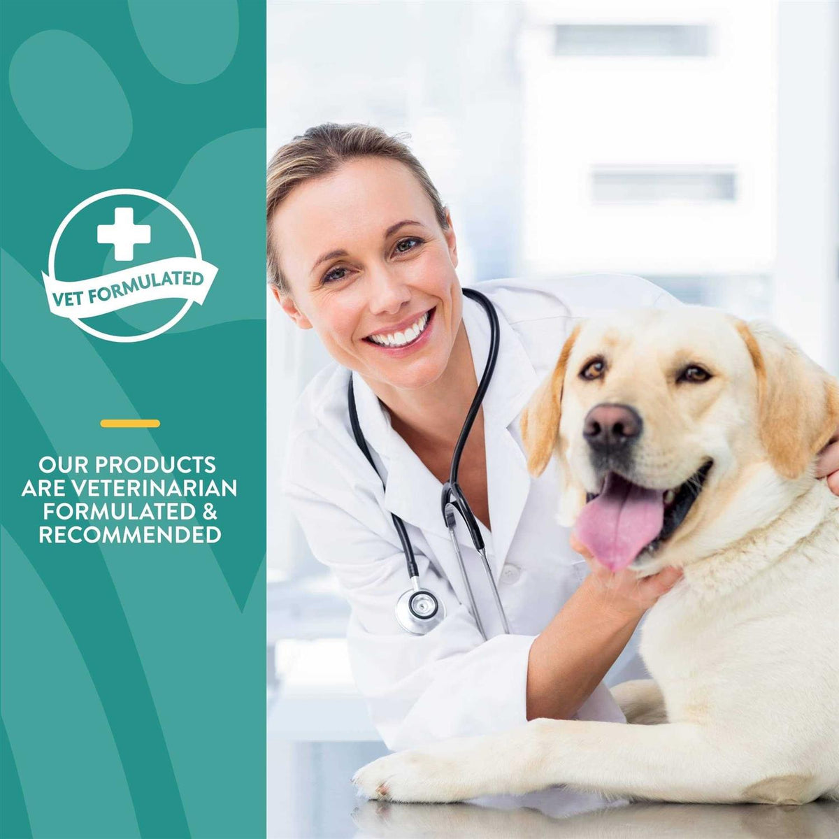 Calming Drops Hemp Oil for Dogs & Cats M9855