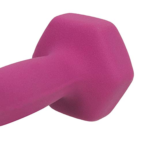 Neoprene Coated Hex Dumbbell Sold in Pairs M739598