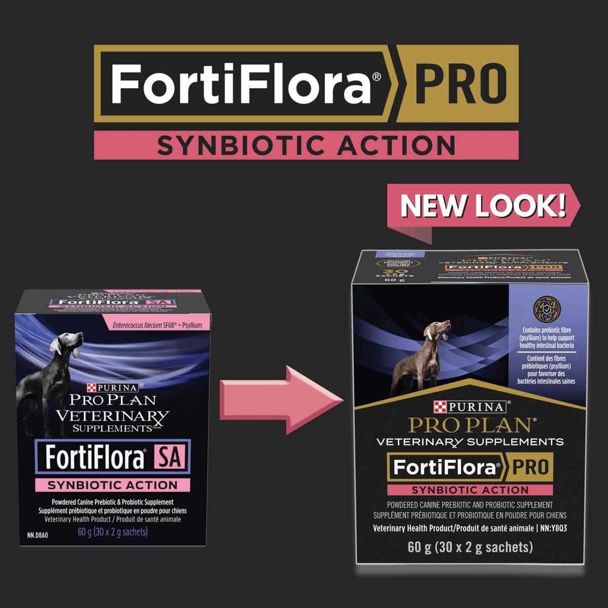 FortiFlora SA Synbiotic Action Powder H484700