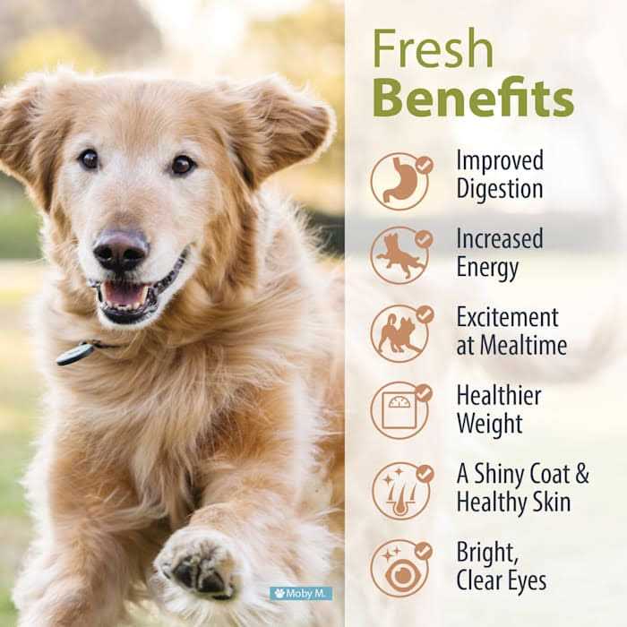 Balanced Remedy Frozen Dog Food G2698