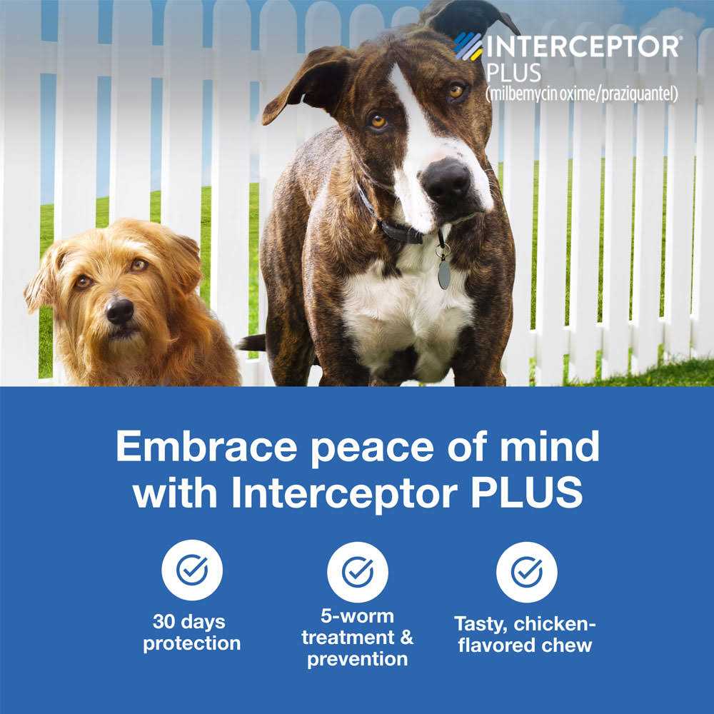 Interceptor Plus for Dogs C229
