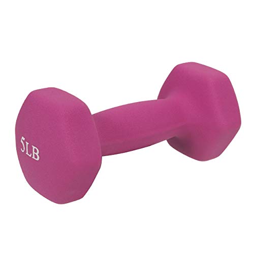 Neoprene Coated Hex Dumbbell Sold in Pairs M739598