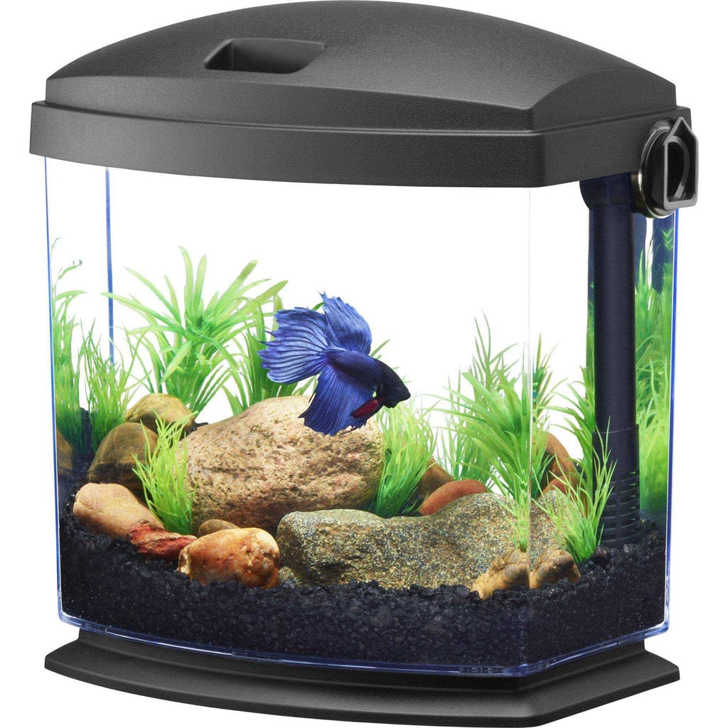 Black Aquarium Kit P92380