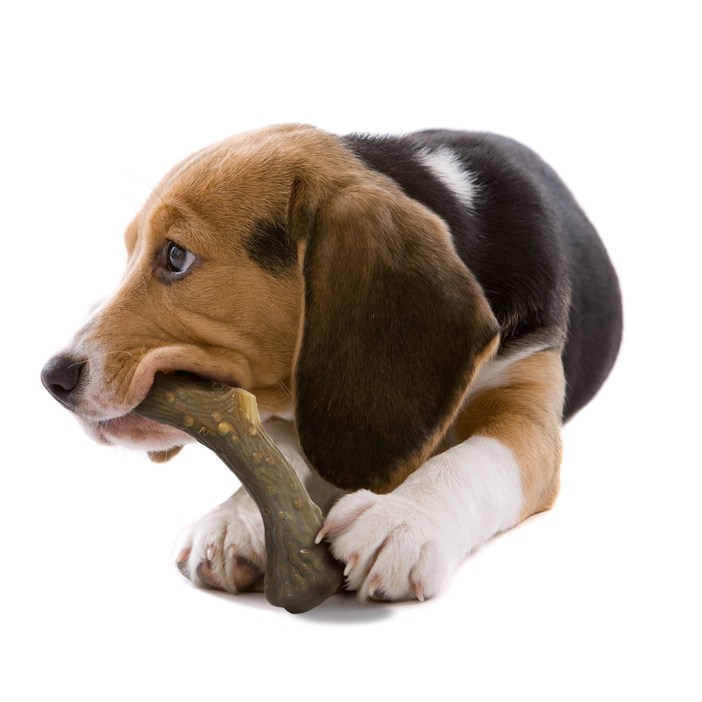 Venison Medium Dog Chew Toy M5788
