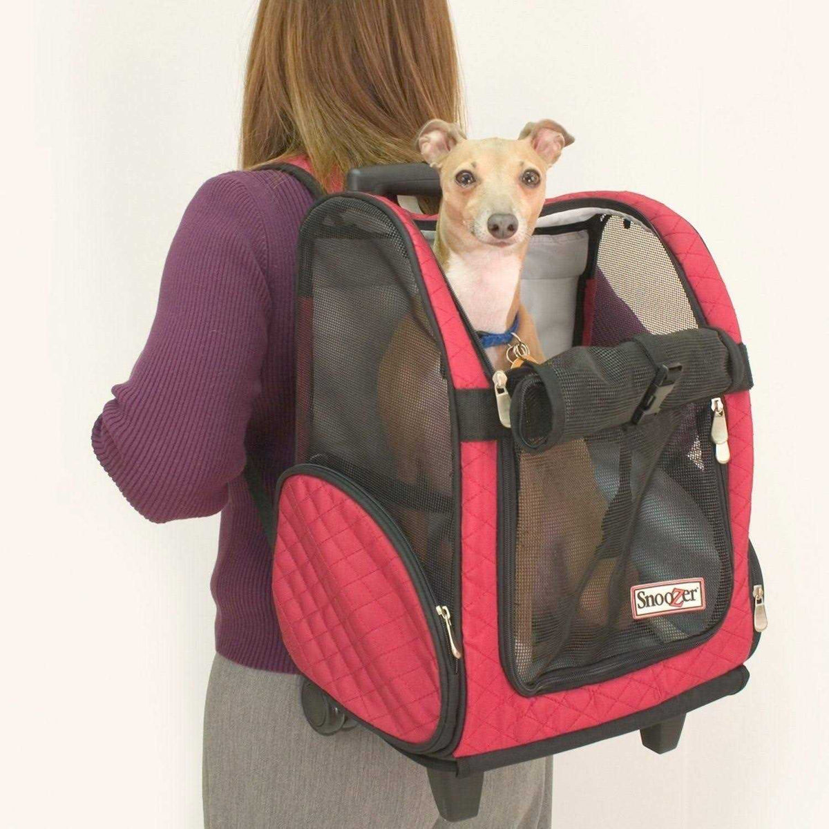 Travel Pet Carrier S8644