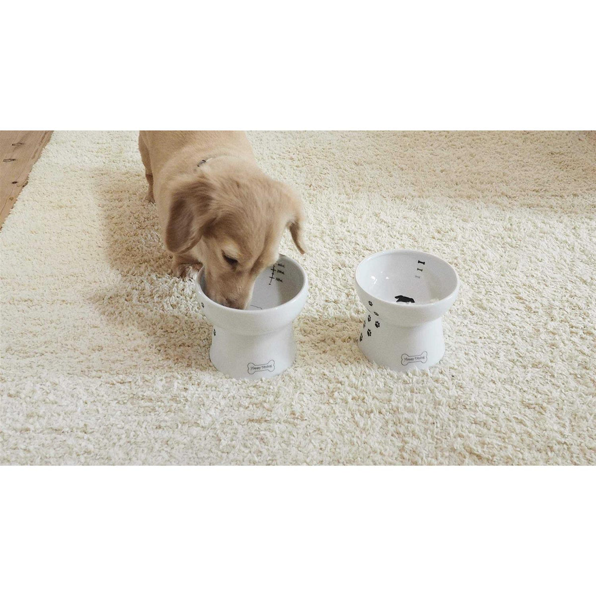 Raised Dog Food Bowl S501574