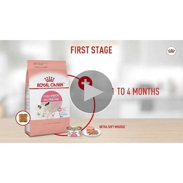 Persian Kitten Dry Cat Food X423