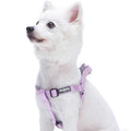 Solid Nylon Step-In Dog Harness H442