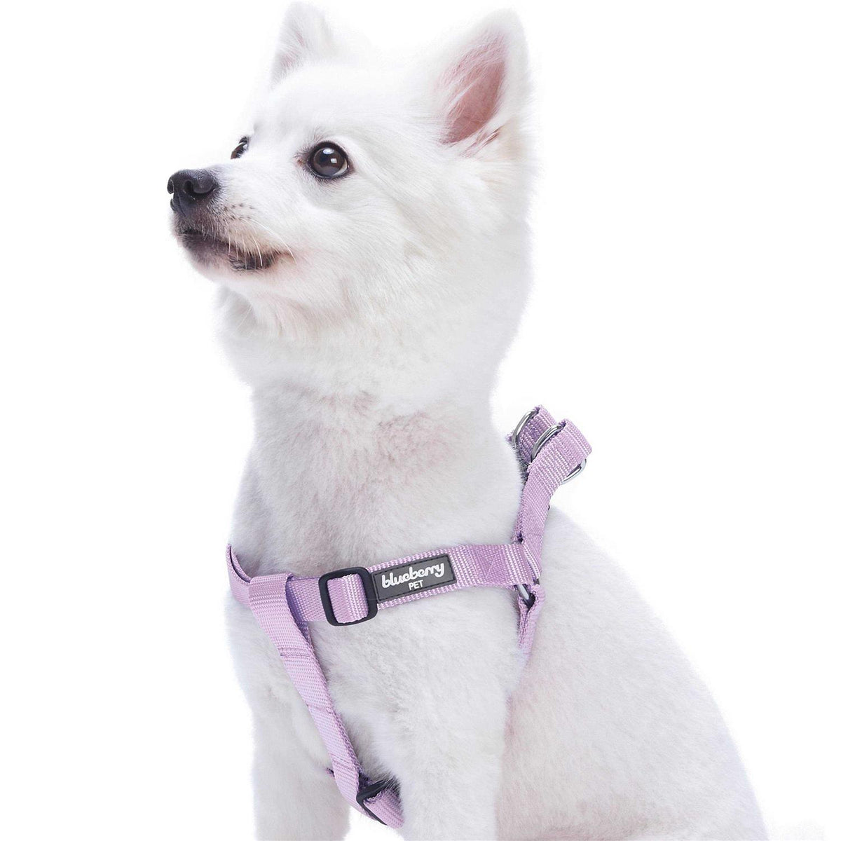 Solid Nylon Step-In Dog Harness H442