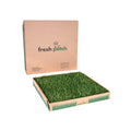 Large Real Grass Pee and Potty Training Pad U944643