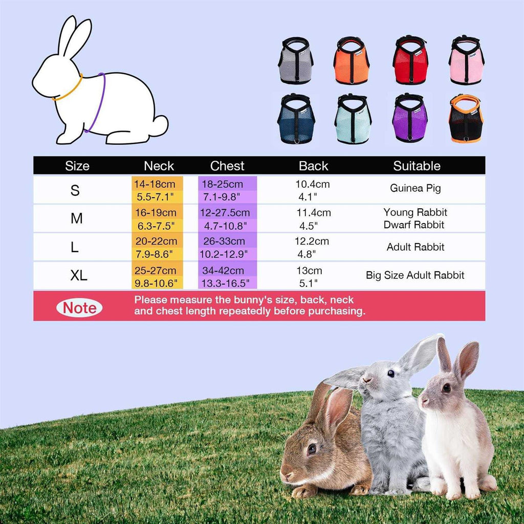 Adjustable Soft Harness with Elastic Leash for Rabbits O742