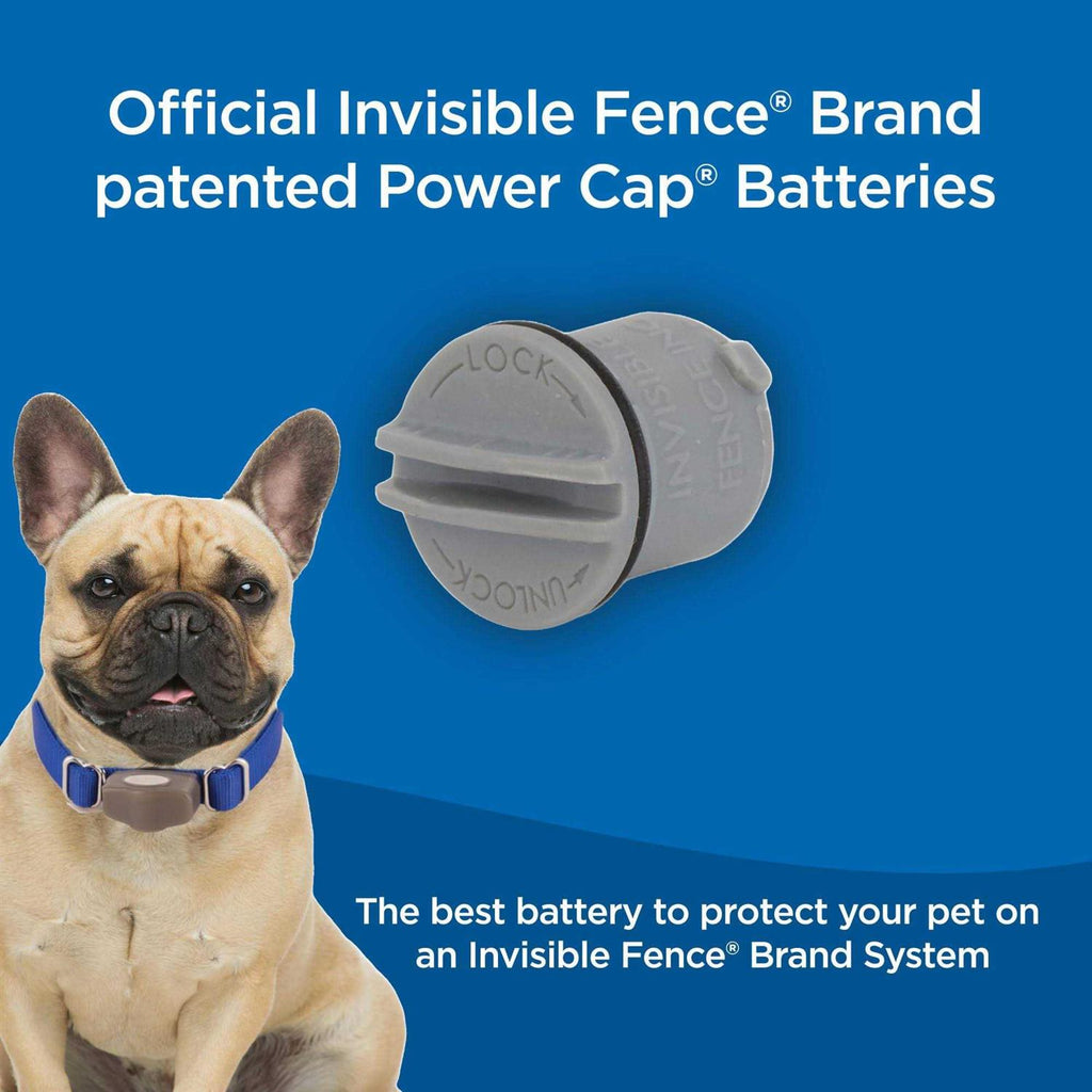 Power Cap Batteries A4573